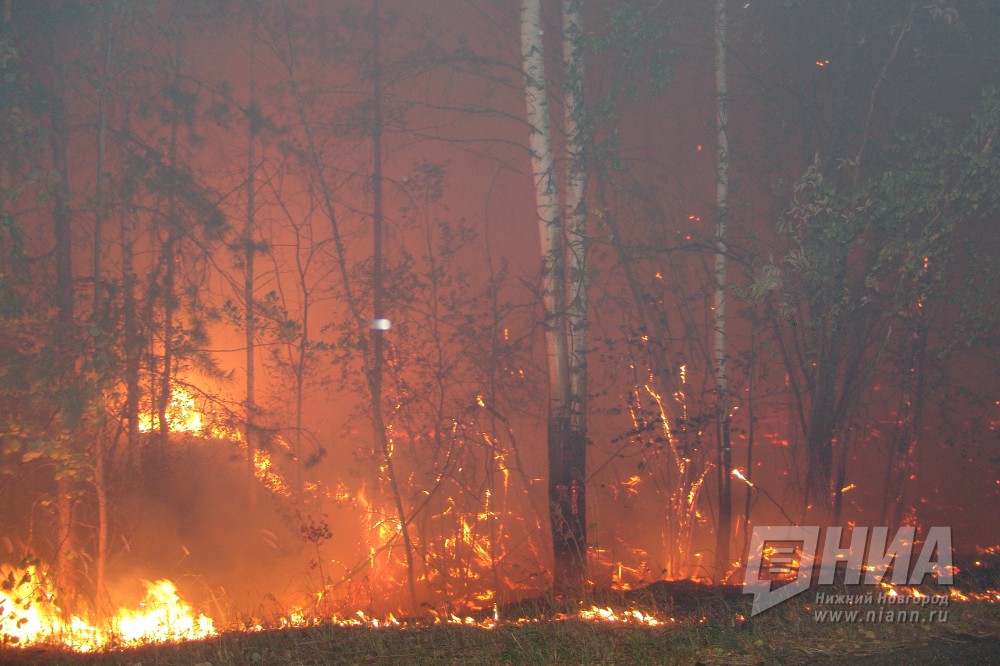 МЧС предупреждает о высокой пожароопасности в регионе в ближайшие дни