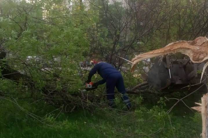 фото предоставлено пресс-службой администрации Нижнего Новгорода