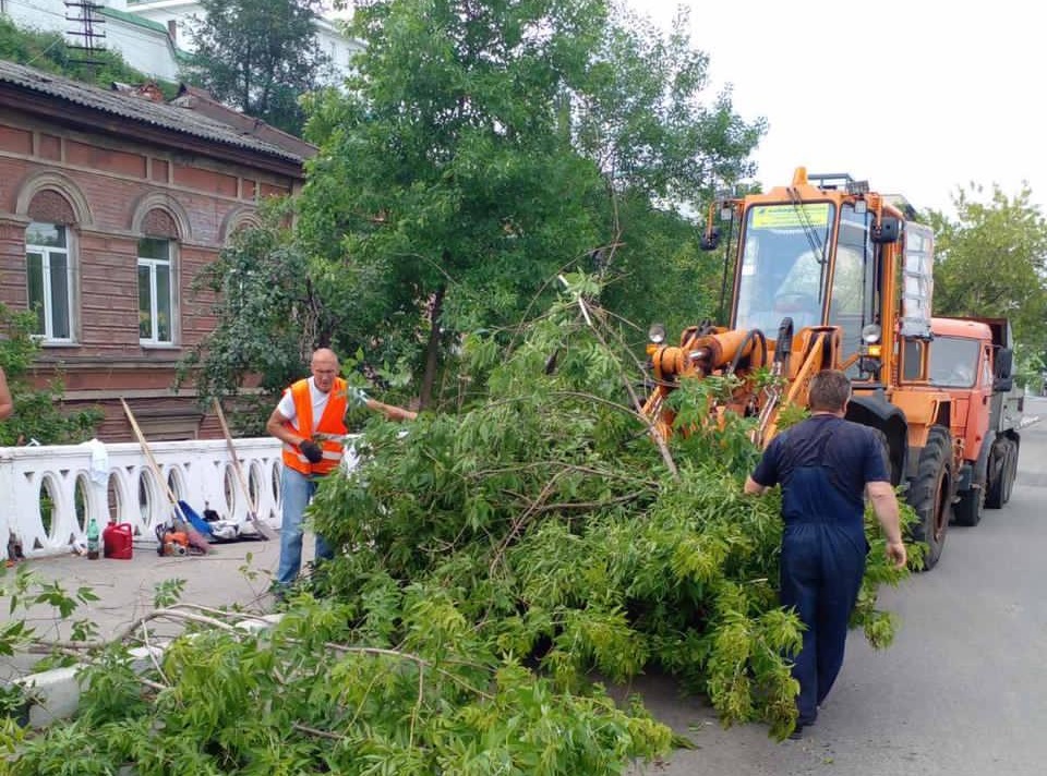 Ураган повалил более 200 деревьев во всех районах Нижнего Новгорода