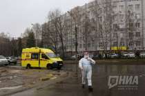 Вновь внесены изменения в указ: бесплатный проезд для медиков, установлены нормы для крупных организаций