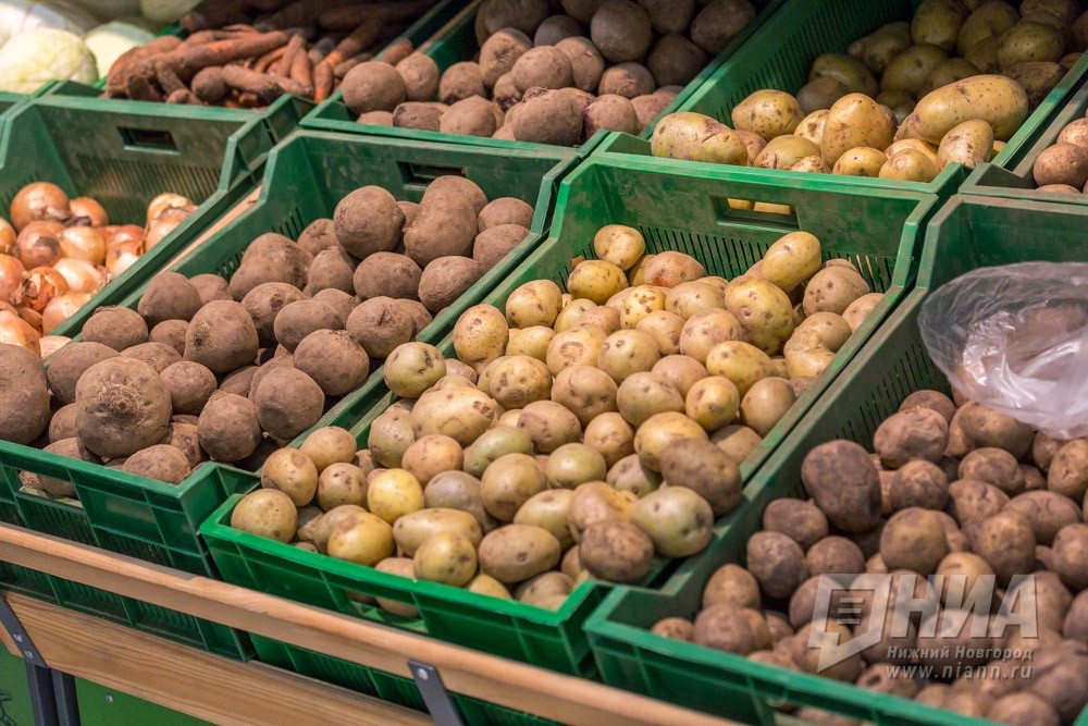 Картофель и репчатый лук подешевели в Нижегородской области