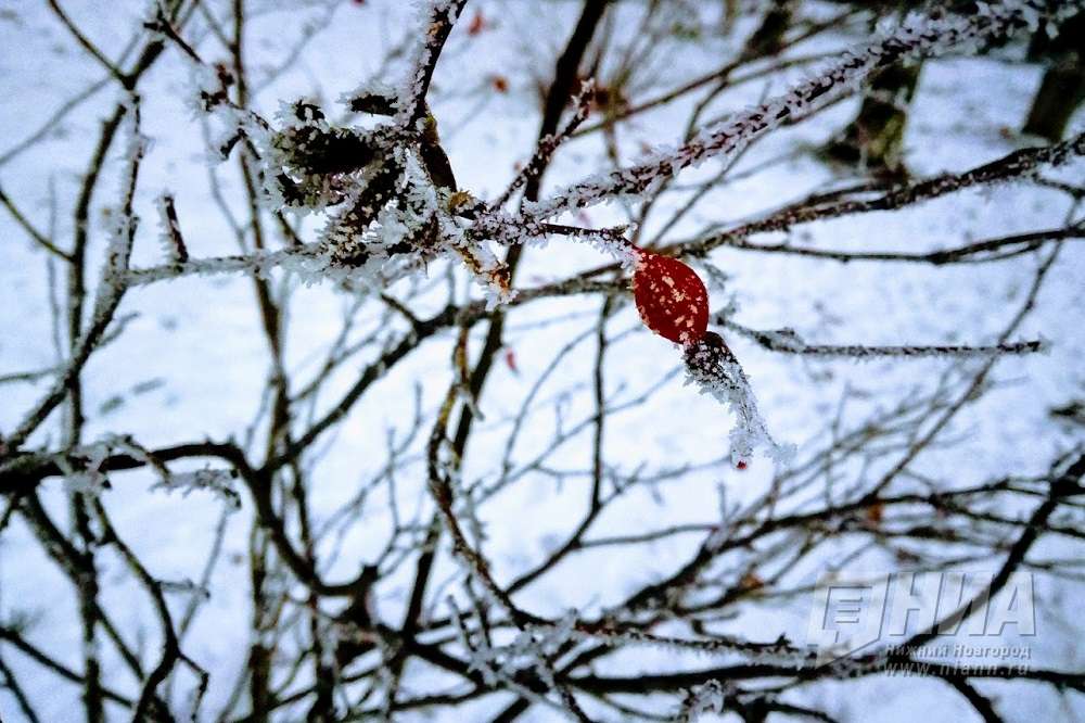Морозы до -32° ударят в Нижегородской области в ближайшие дни