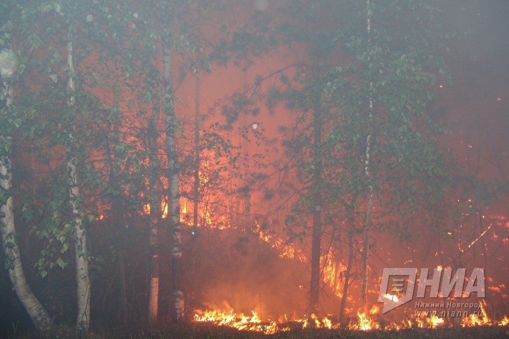 Четвертый класс пожароопасности лесов в Нижегородской области сохранится 13-17 июня
