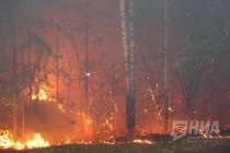 Чрезвычайная пожароопасность лесов ожидается в Нижегородской области с 28 июня по 3 июля