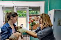 Четвертый государственный ветеринарный кабинет открылся в Нижнем Новгороде