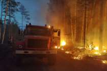 Глеб Никитин ввел режим ЧС в Нижегородской области из-за лесного пожара