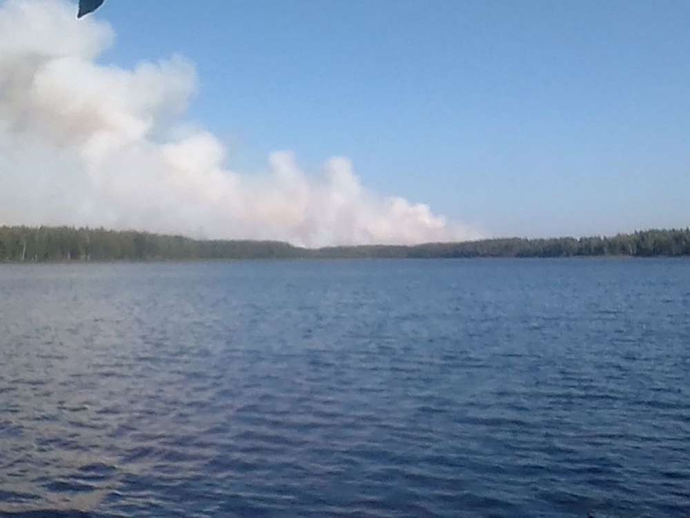 Лесной пожар в Воротынском районе действует в 25 км от Керженского заповедника