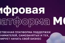 Более 6,5 тысячи предпринимателей из Нижегородской области уже воспользовались цифровой платформой МСП.РФ