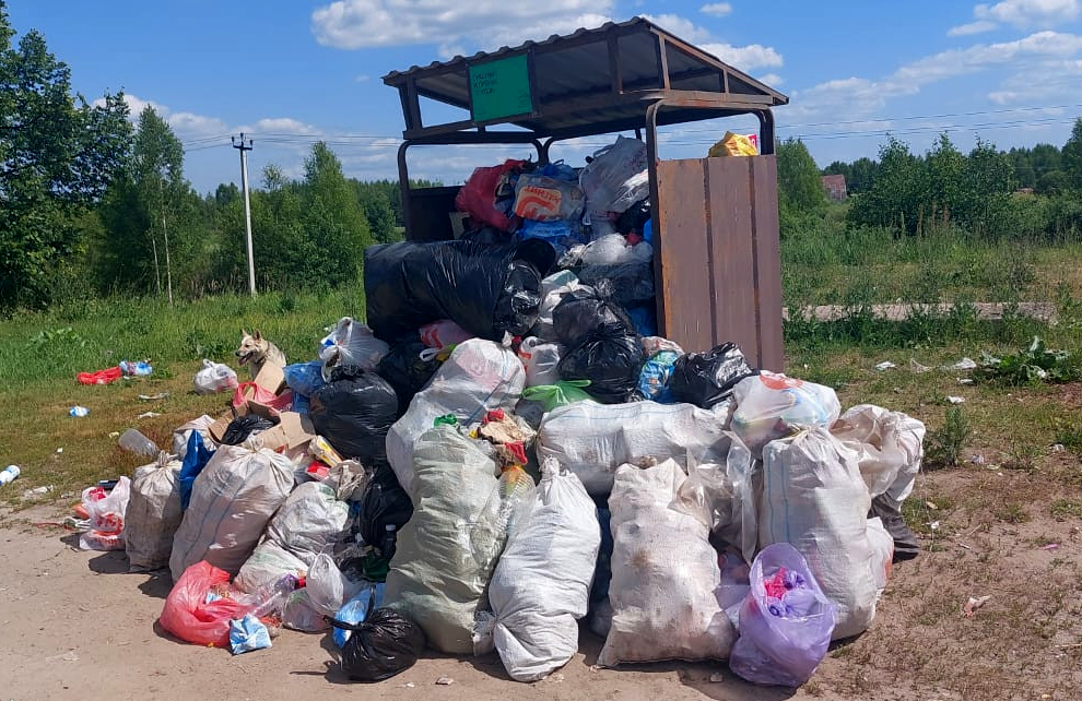 Почти 7 тыс. контейнерных площадок в Нижегородской области проверили специалисты ГЖИ с начала года