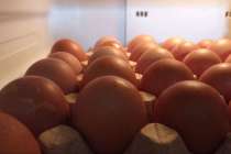 Яйца с антибиотиками поступали на нижегородские прилавки из Кемеровской области