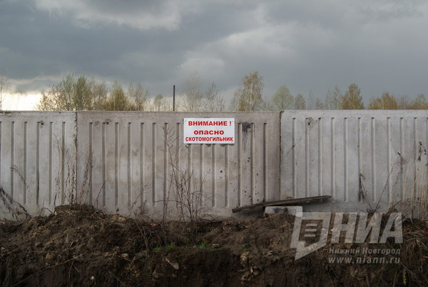 Опасные сибиреязвенные могильники находятся в зоне паводка в Нижегородской области