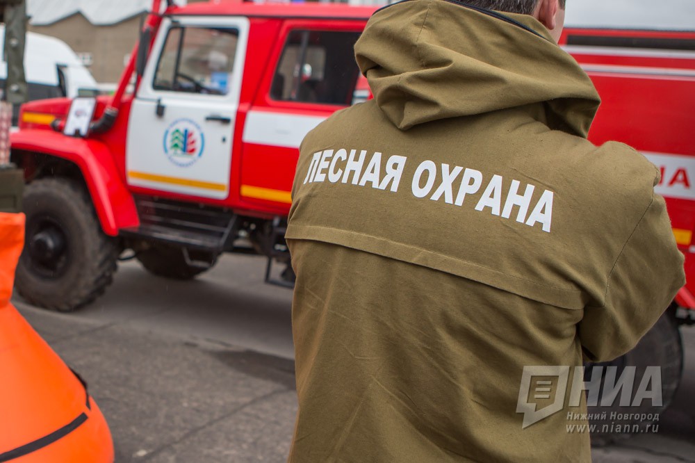 Особый противопожарный режим с 22 апреля установлен в Нижегородской области