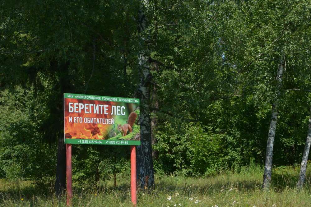 Высокая пожароопасность лесов сохранится в Нижегородской области до 7 июня