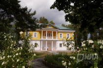 Господский дом сына Пушкина во Львовке