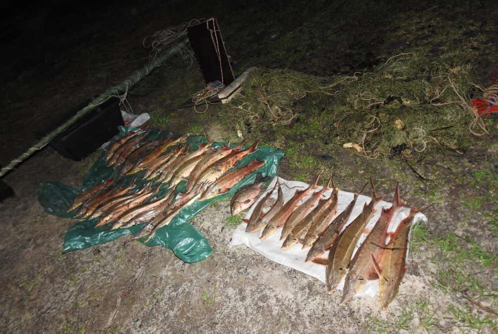 Более 200 браконьеров поймали в Нижегородской области