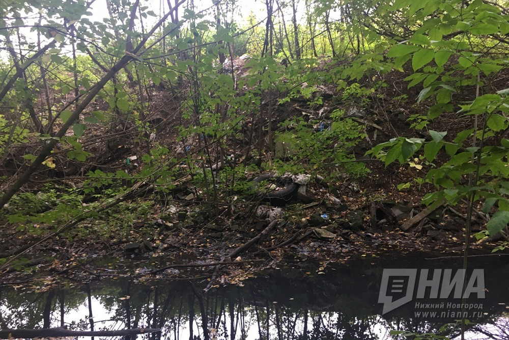 Нижегородские власти начали поиск источника загрязнения воды в реке Борзовке 