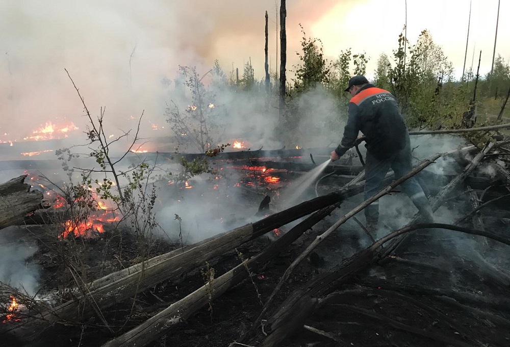 Пожароопасность лесов VI-V класса установится в Нижегородской области