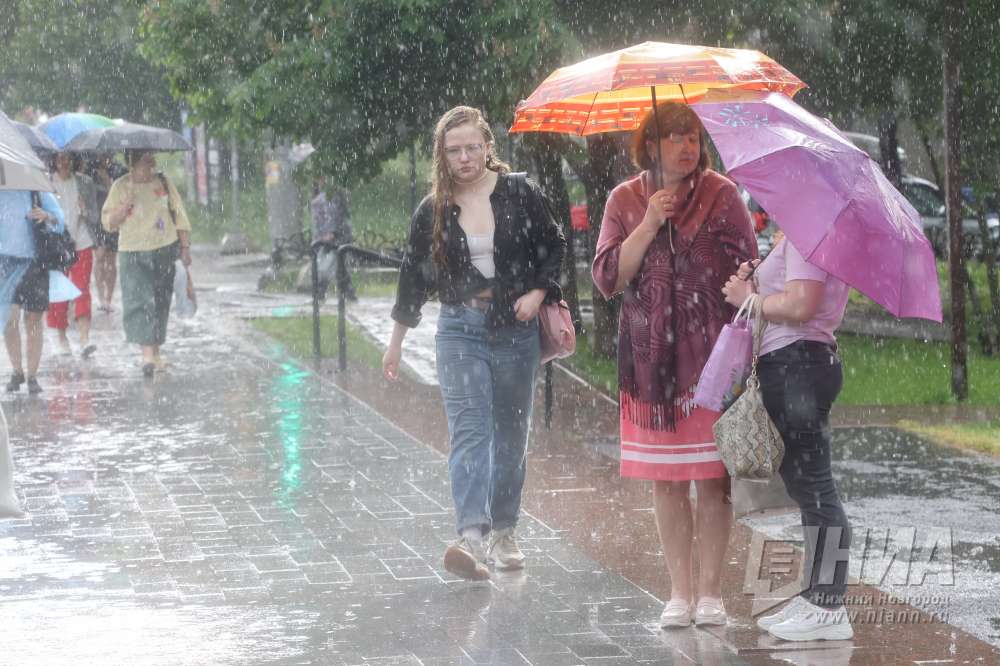 Сильные дожди сохранятся в Нижегородской области до вечера 2 августа