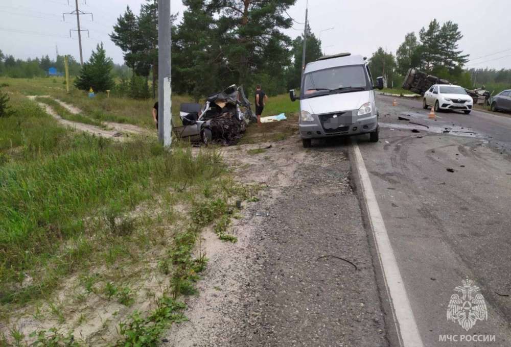 Виновник смертельного ДТП под Дзержинском перед аварией убил молодую супругу