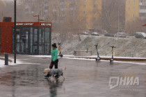 Первый снегопад в Нижнем Новгороде 1 ноября