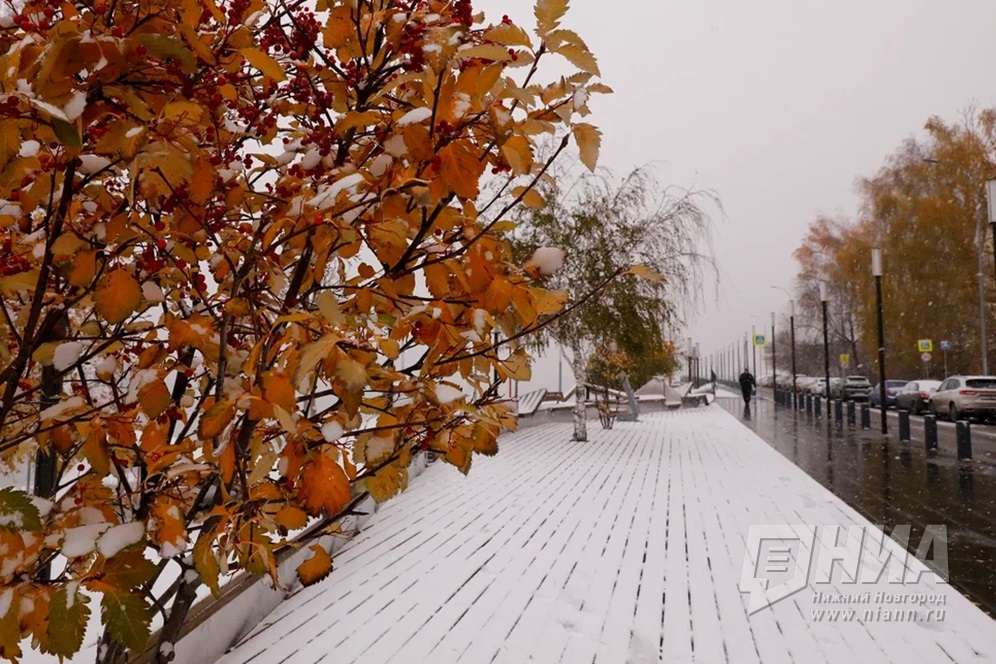 Снег и до -1 градуса обещают жителям Нижнего Новгорода в выходные