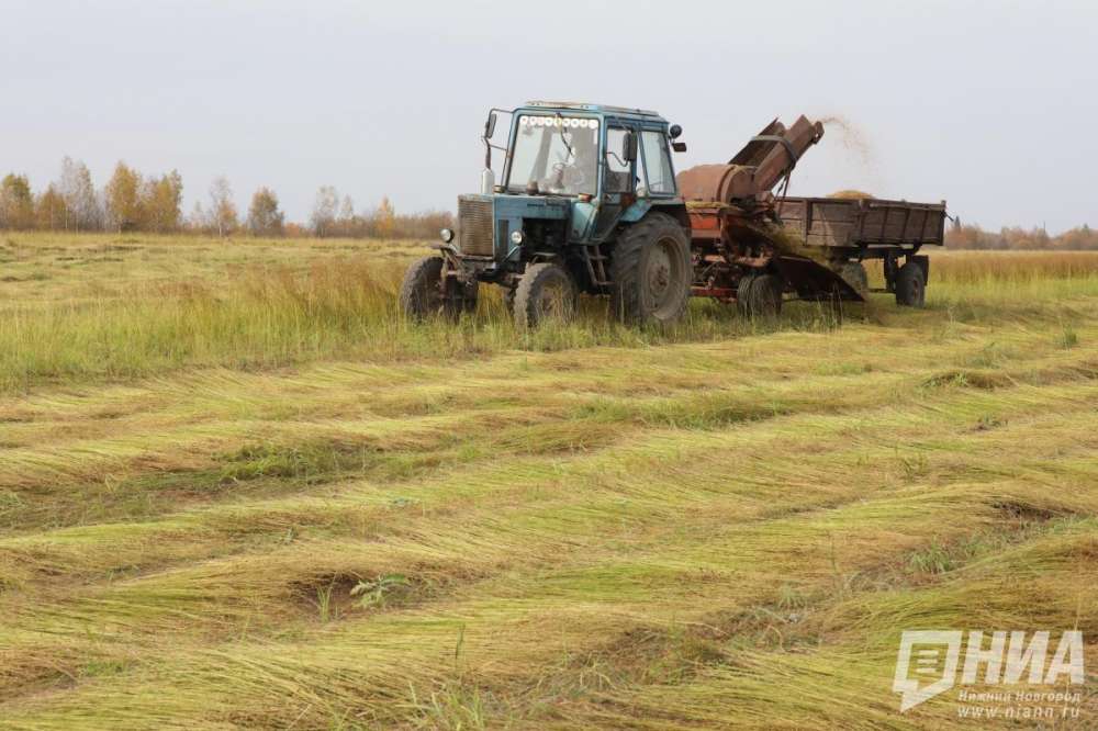 Нижегородские сельхозкооперативы получат 54 млн рублей господдержки