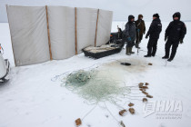 Рейд по браконьерству