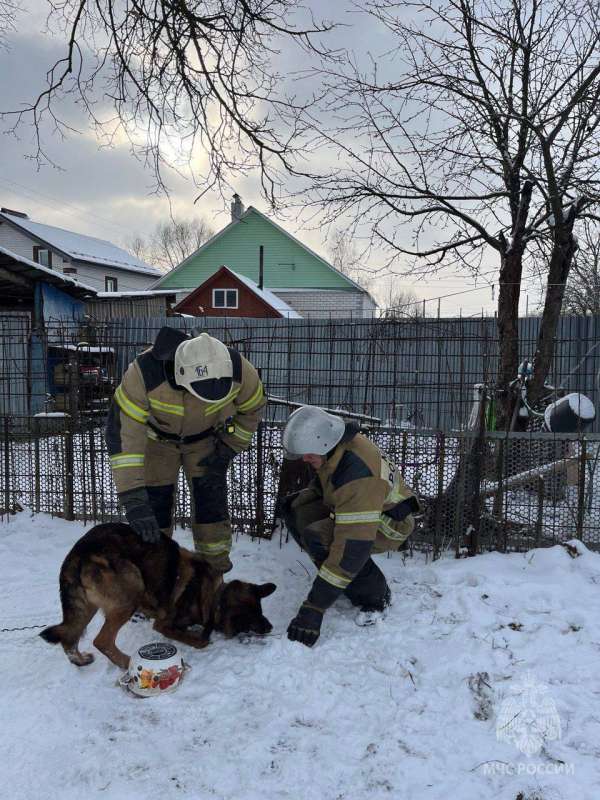 Нижегородские пожарные спасли пса в Шатках