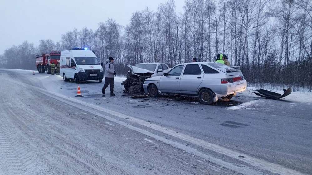 Три человека погибли в массовом ДТП на трассе в Нижегородской области