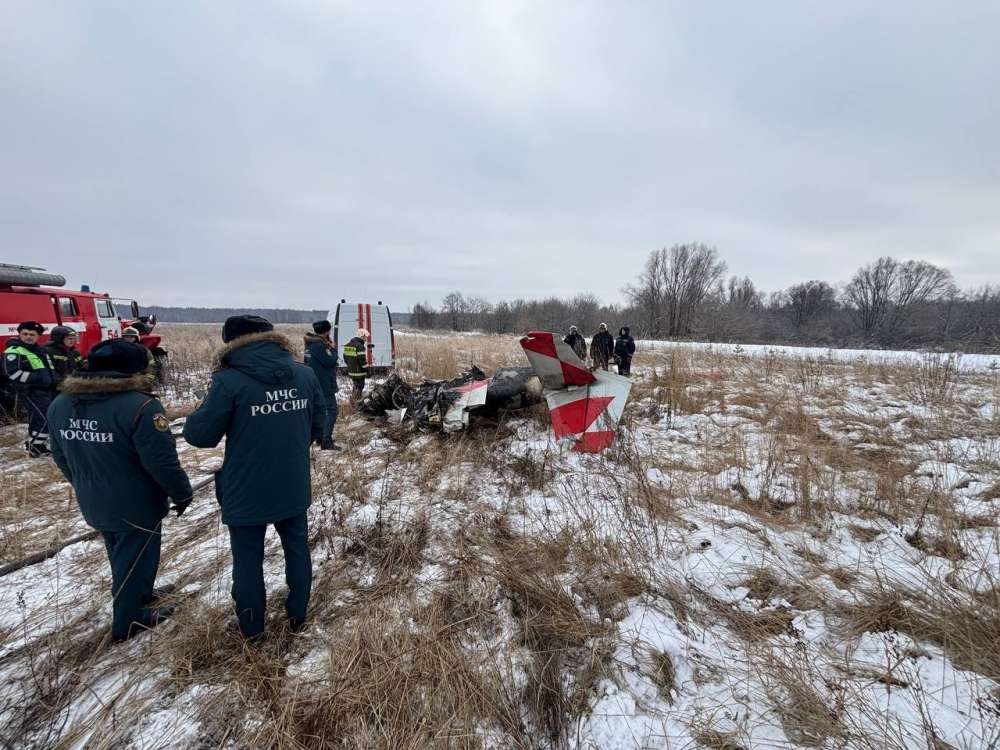 Крушение самолета под Нижним Новгородом закончилось проверками