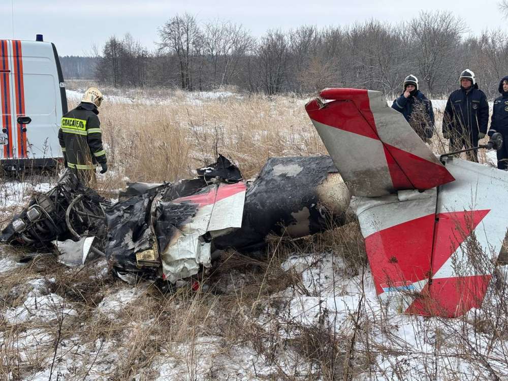 Хозяин упавшего под Кстовом самолета мог солгать об угоне, боясь уголовного дела