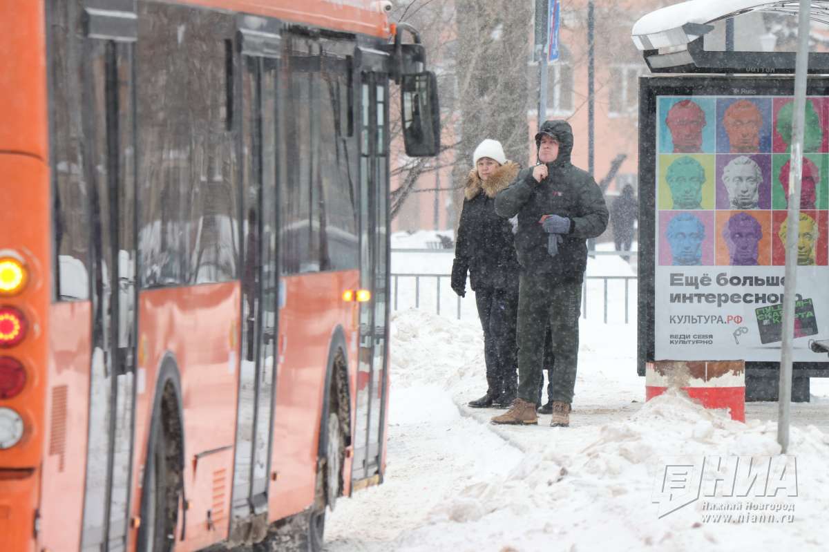 Названы самые популярные маршруты общественного транспорта Нижнего Новгорода