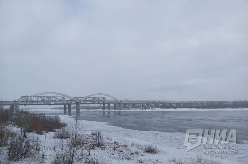 Нижегородцы требуют отказаться от строительства ЖК у Борского моста  