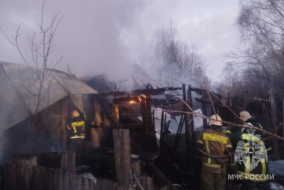 Мужчина заживо сгорел в Борском районе