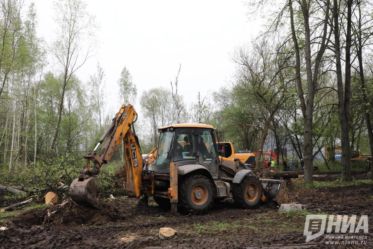 Экс-главу нижегородского поселка оштрафовали за 120 вырубленных сосен