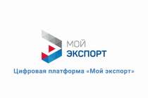 Более 9,7 тысячи услуг получил нижегородский бизнес на цифровой платформе Мой экспорт