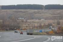 Выяснилось, где в Нижегородской области чаще всего случаются ДТП с лосями