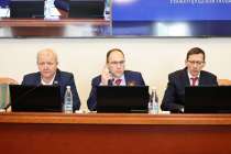 Депутаты ЗСНО обсудили проект изменений в областной бюджет на 2025 год