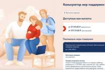 Калькулятор мер соцподдержки семей с детьми появился в Нижегородской области