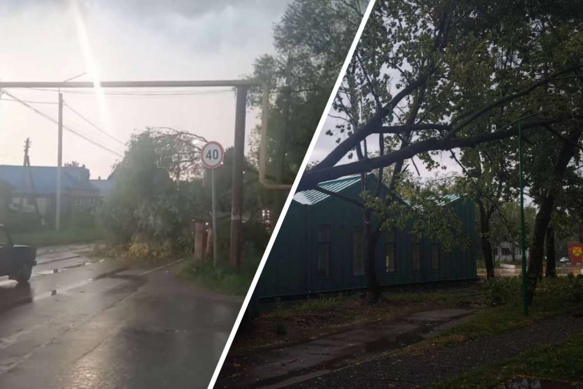 Материальную помощь окажут арзамасцам, пострадавшим от урагана