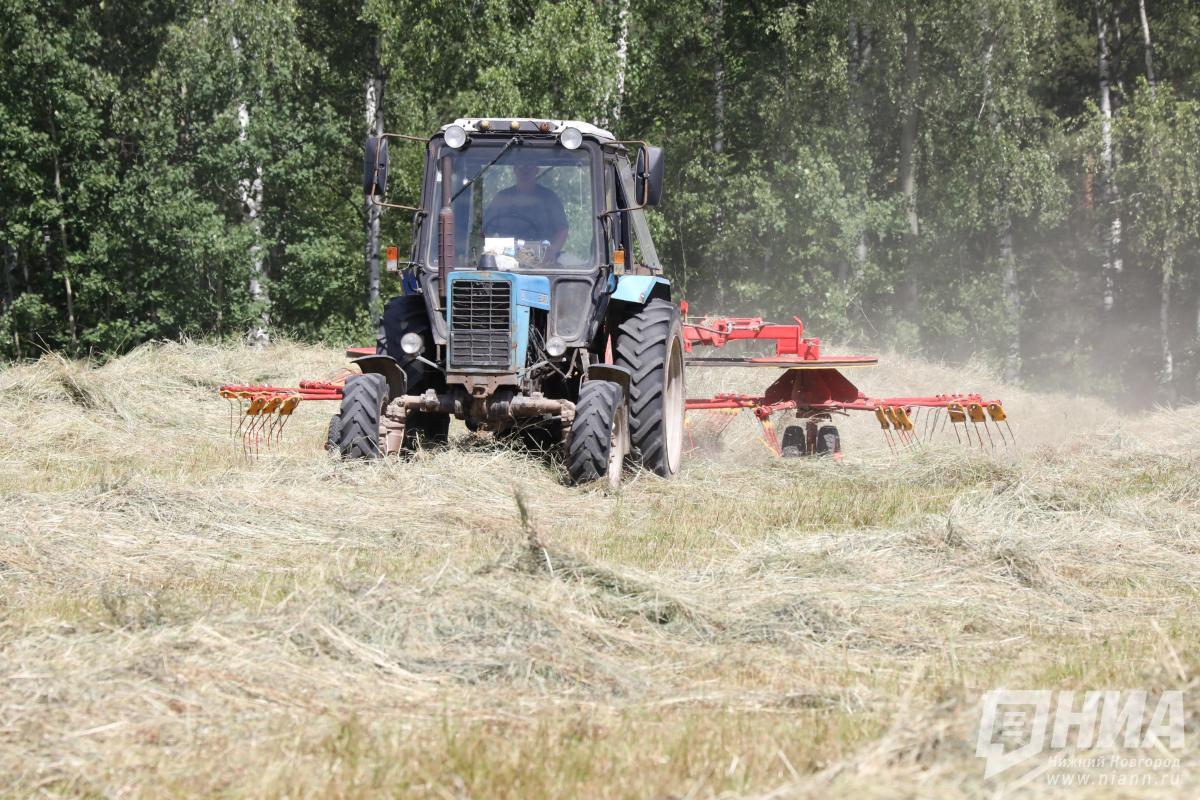 Более 1 млн га засеяли нижегородские аграрии под урожай 2025 года