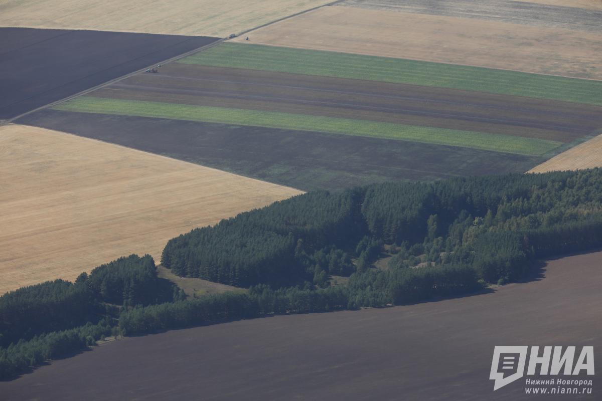 Нарушения при использовании пестицидов выявили в Нижегородской области
