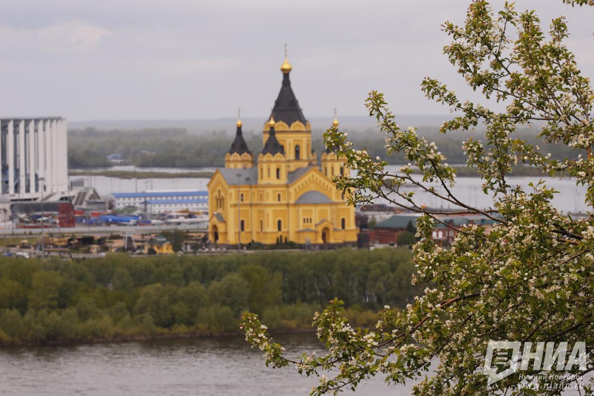 Прощание с главой нижегородского депобра Радченко пройдет 25 августа