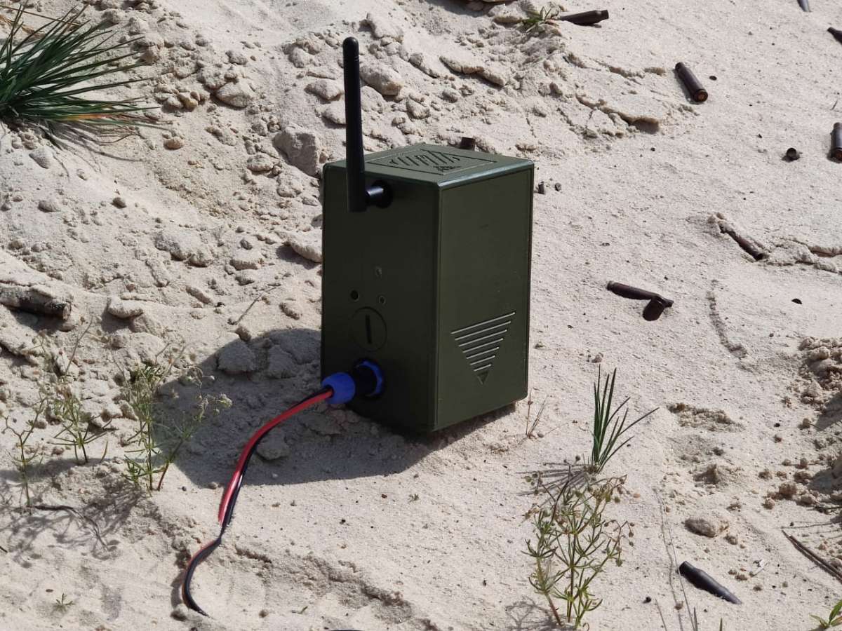 Убившего двух лосей браконьера поймали в нижегородском лесу