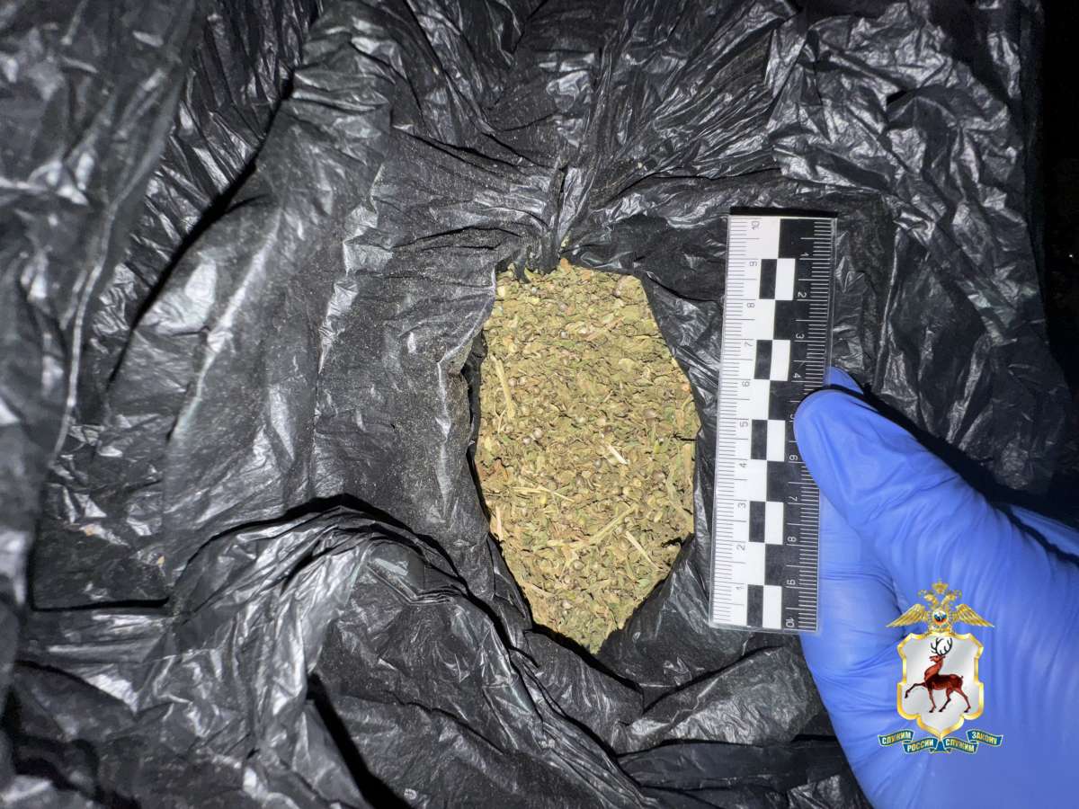 Пастуха из Перевозского округа задержали за хранение марихуаны