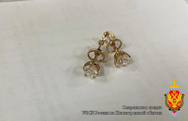 Нижегородца задержали за контрабанду бриллиантов на 2 миллиона рублей