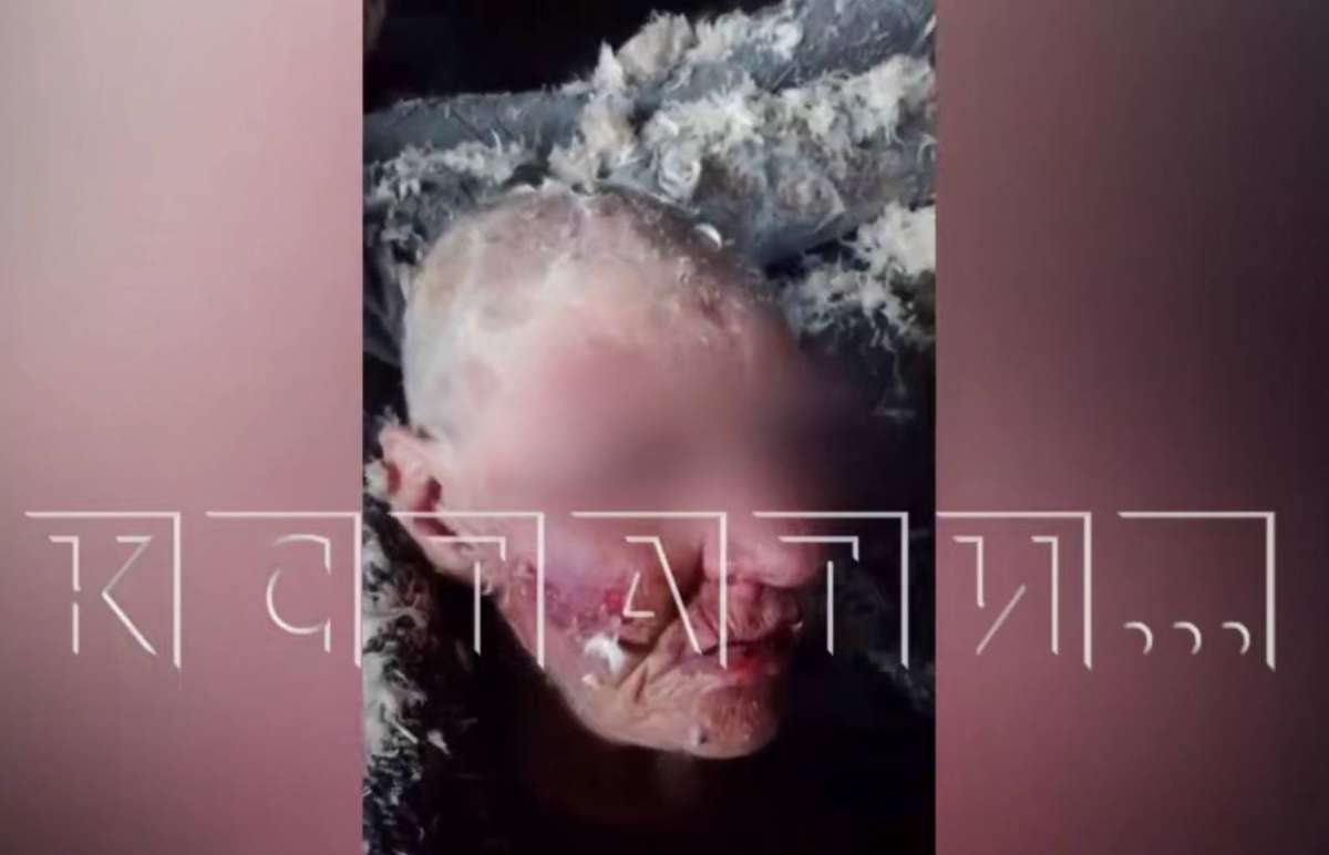 Детей, участвовавших в зверском избиении нижегородки, изъяли из семей