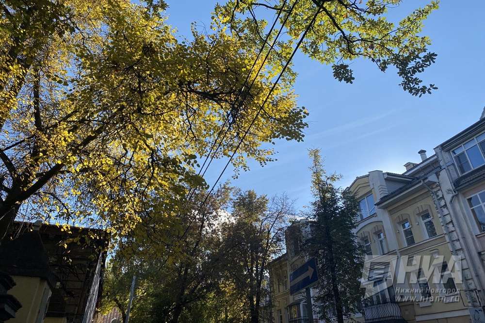 Шесть нижегородских улиц избавили от проводов по проекту Чистое небо