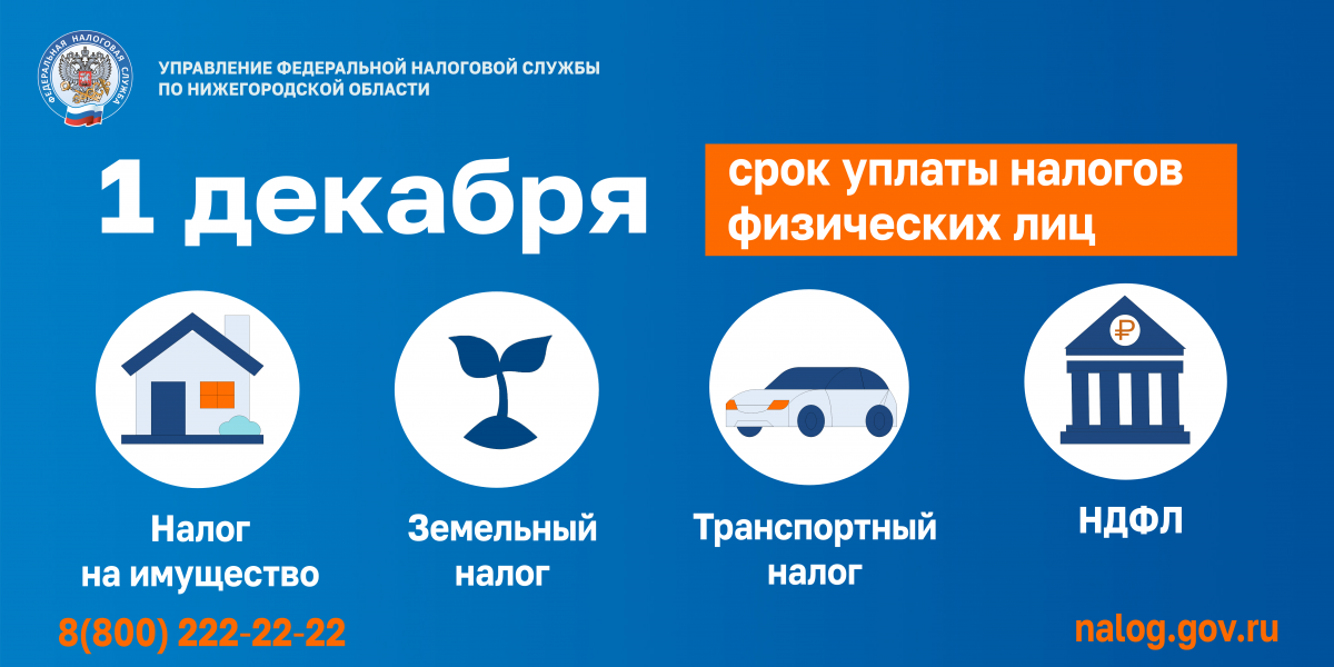 ФНС: нижегородцы должны оплатить налоги не позднее 1 декабря