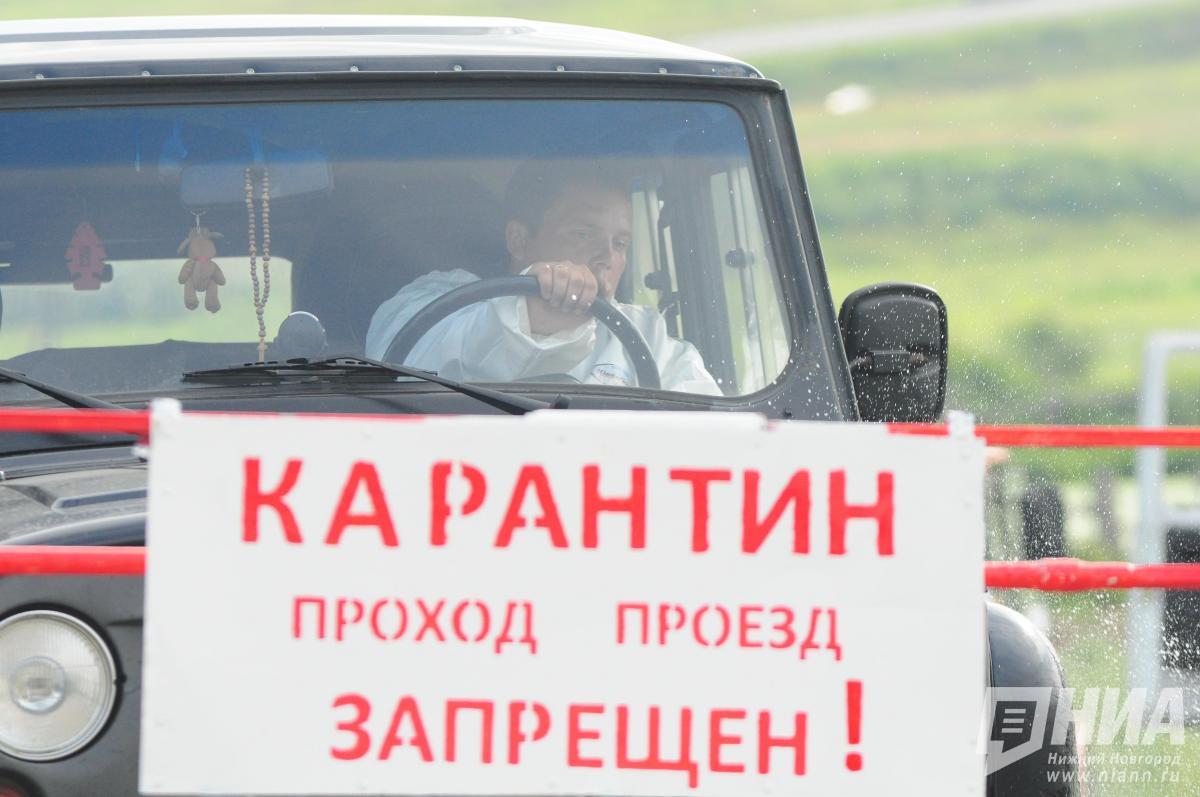 Карантин по бешенству ввели в еще в одном нижегородском селе